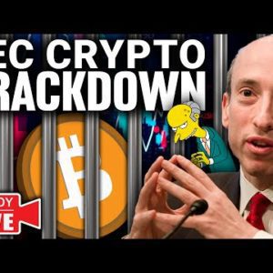 BITCOIN UNDER ATTACK! (Worst Time for SEC Investigation)