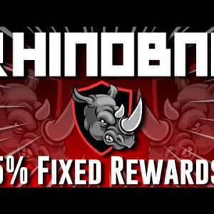 Rhino BNB – Rhino Review Earn 5% Daily