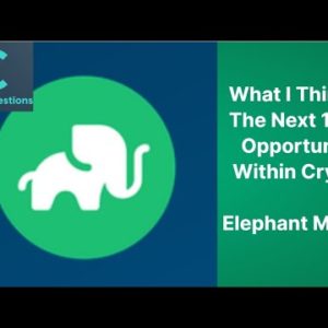 What I think Is The Next 100X Opportunity Within Crypto | Elephant Money